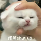 做是答案