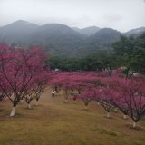 中兴通讯股份有限公司技术总监