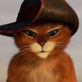 广州协翔管理咨询有限公司 技术总监