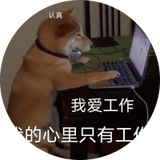湖南麒麟信安科技股份有限公司 技术支持工程师