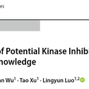 Improving the prediction of potential kinase inhib