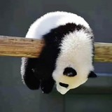 广州粤嵌通信科技股份有限公司嵌入式工程师