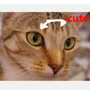 图像修复应用