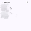 immich二次开发