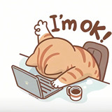 SMoore .net高级开发工程师