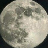 任子行网络科技有限公司 Python开发工程师