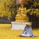 湖南优赢信息技术有限公司 高级后端工程师