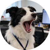 格力电器 高级后端工程师