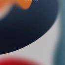 XX信息科技有限公司 信息安全工程师 / 高级权限管理工程师