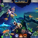 捕鱼游戏休闲游戏市场对捕鱼类产品需求旺盛，用户对流畅的多人联机体验和丰富的游戏内容迭代有较高期待。本