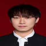 自由职业/技术顾问 独立开发者