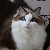 科技公司 软件开发