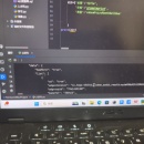 人才网