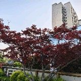信雅达 高级数据库工程师
