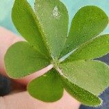 前长春理想科技 研发工程师