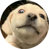 zcoder