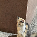 大瓶子