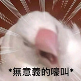 百度在线网络技术（北京）有限公司 后端开发工程师