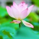 用户1270674
