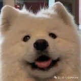 自由职业 C++开发