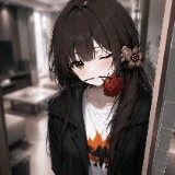 自由职业 独立开发者