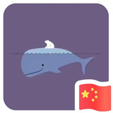 深圳金箱智能科技有限公司 Java后端开发