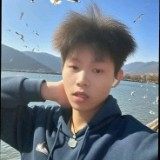 自由职业 AI应用开发