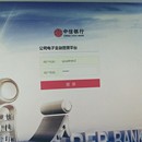 公司电子金融管理系统