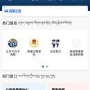 都能办-昌都政务系统