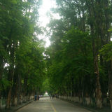 广州SS高级后端工程师