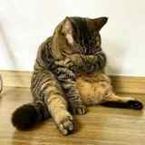 武汉牛马科技有限公司前端开发