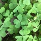 昊誉信息经理