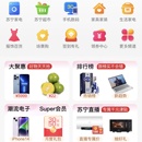 苏宁易购网站