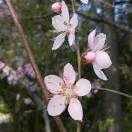 中徽建技术有限公司 高级架构师