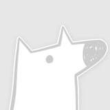 【金融PHP程序员】,金融PHP程序员兼职接单