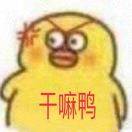 前北大医信 高级后端工程师