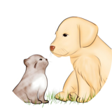 四川久远银海软件股份有限公司全栈开发工程师