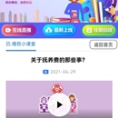 包河智慧妇联(ios,安卓app)