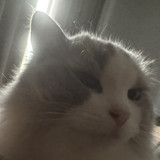 前上海创启网络项目主程