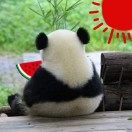 智联招聘高级后端工程师