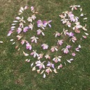 iPhone壁纸App