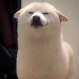 啊亮66666