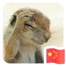 重庆大学网络教育学院.NET开发工程师