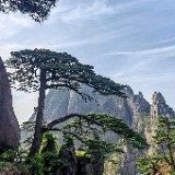 中国商飞上海飞机设计研究院机载软件研发