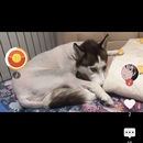 兜能赚