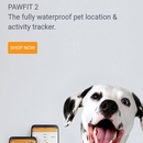 pawfit