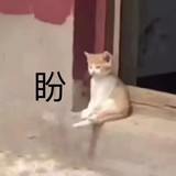 陈宸臣