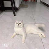 产品3年