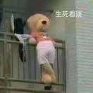 崇尚科技有限公司开发者