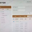 中信监管项目